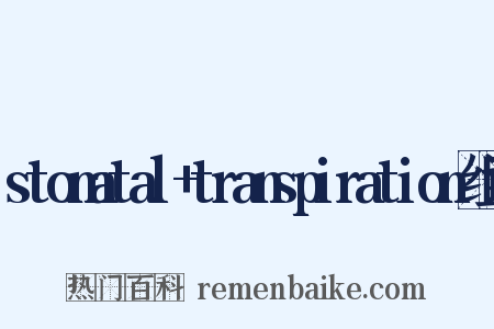 stomatal+transpiration组词是什么意思的图片